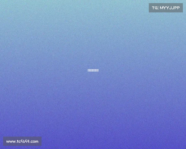 法国秘鲁世界杯